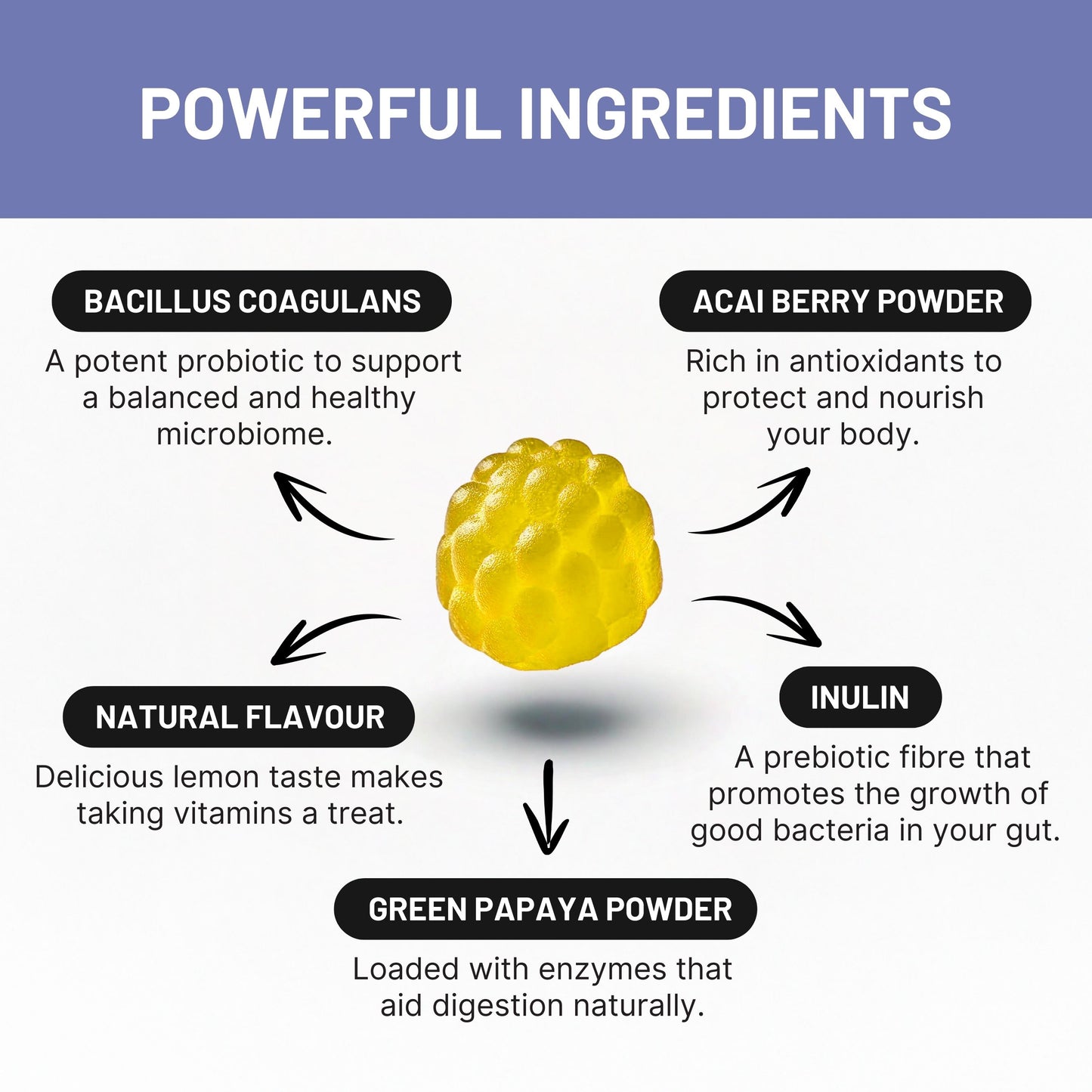 GUT HEALTH GUMMIES Vegan Probiotic Gummies - 30 Gummies - Lemon Flavour - Bacillus Coagulans & Inulin - Gut Health, Immune System & Digestion Supplement for Women & Men – By Elevated Extracts