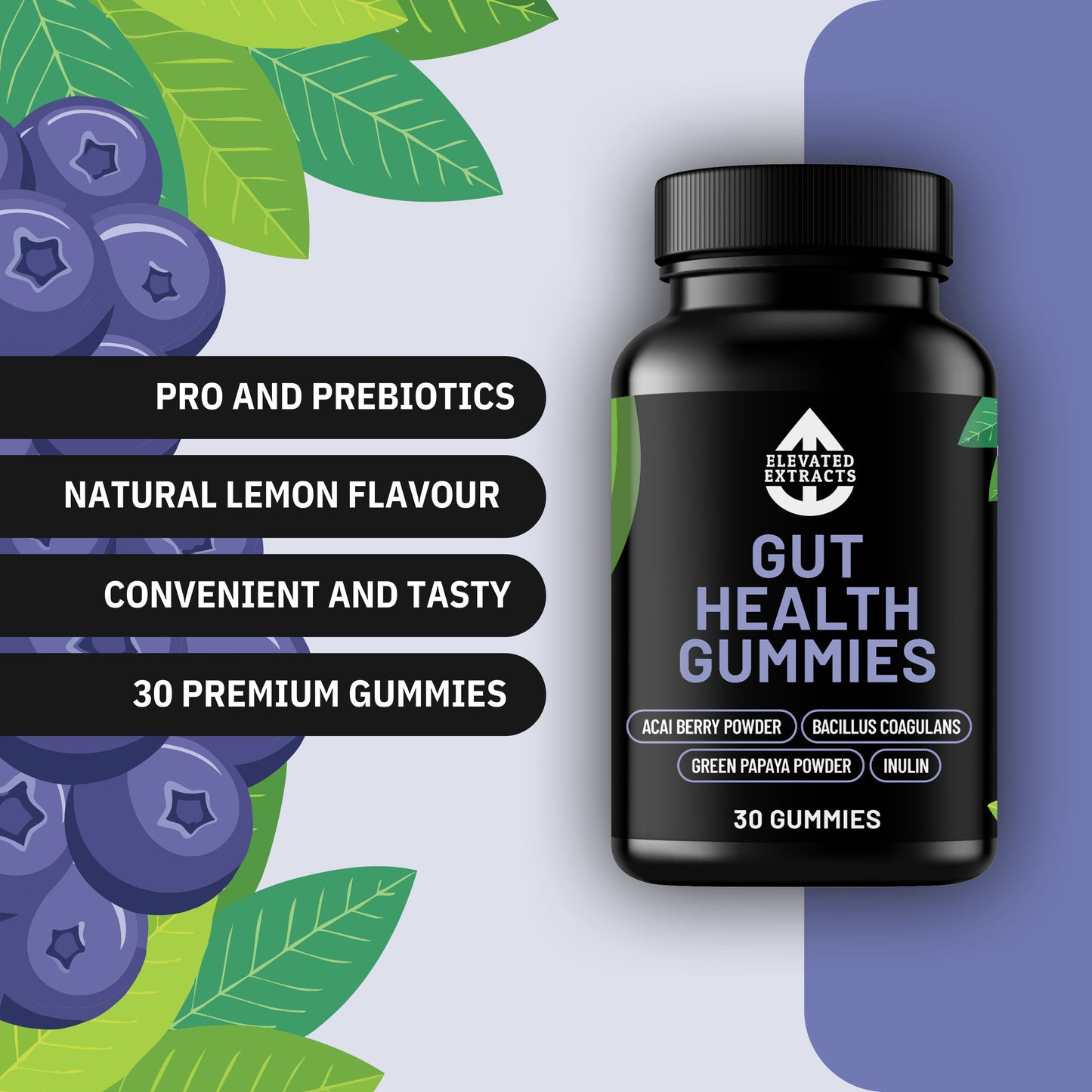 GUT HEALTH GUMMIES Vegan Probiotic Gummies - 30 Gummies - Lemon Flavour - Bacillus Coagulans & Inulin - Gut Health, Immune System & Digestion Supplement for Women & Men – By Elevated Extracts