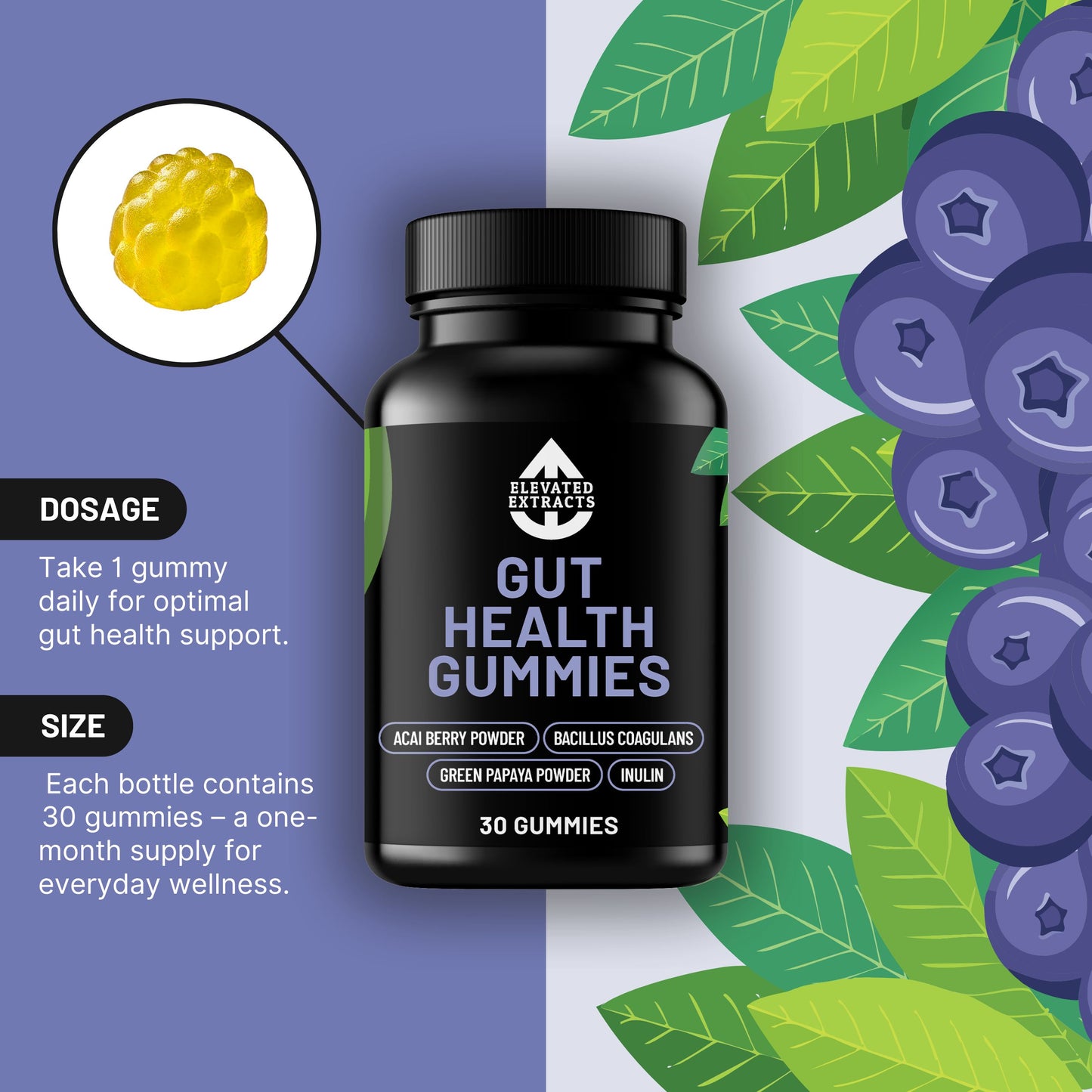 GUT HEALTH GUMMIES Vegan Probiotic Gummies - 30 Gummies - Lemon Flavour - Bacillus Coagulans & Inulin - Gut Health, Immune System & Digestion Supplement for Women & Men – By Elevated Extracts