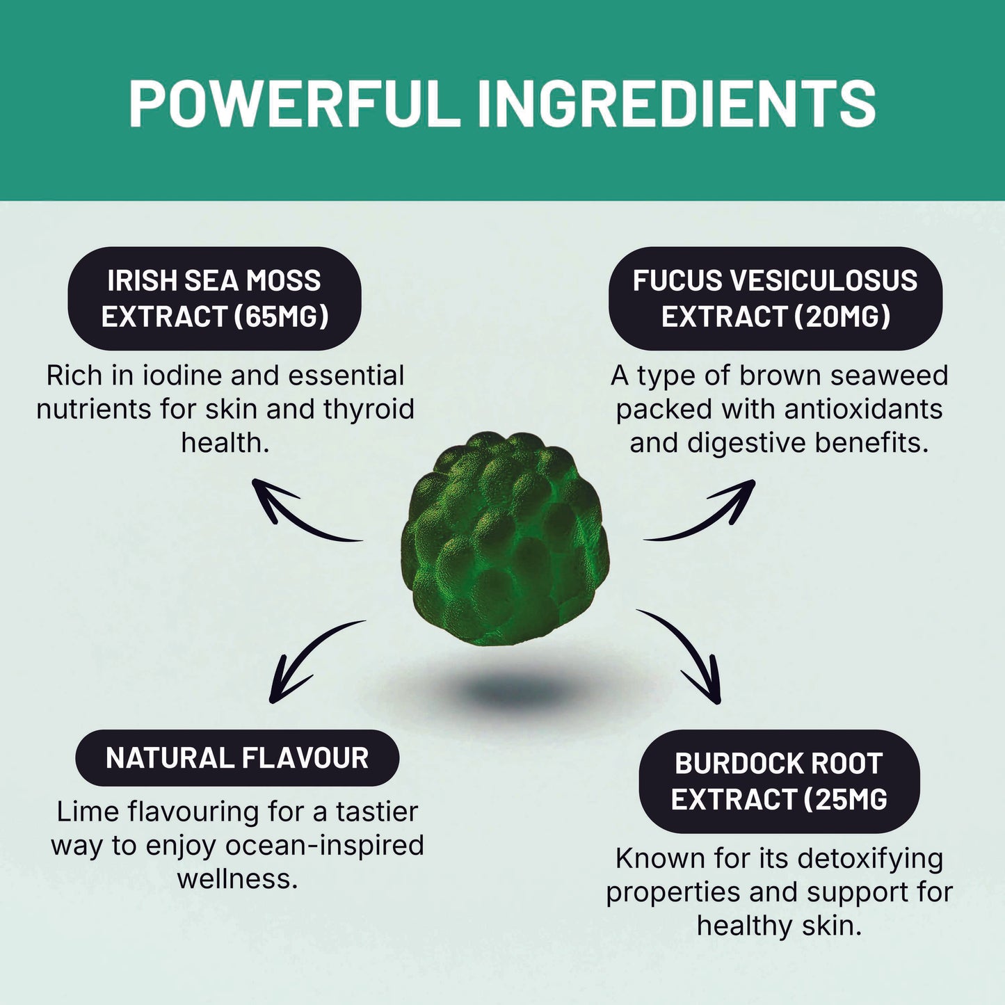 SEA WEED GUMMIES Irish Sea Moss Gummies with Bladderwrack (Fucus Vesiculosus Extract) and Burdock Root | 30 Gummies | Lime Flavour | All Natural, Vegan, Gluten Free, Non GMO – By Elevated Extracts