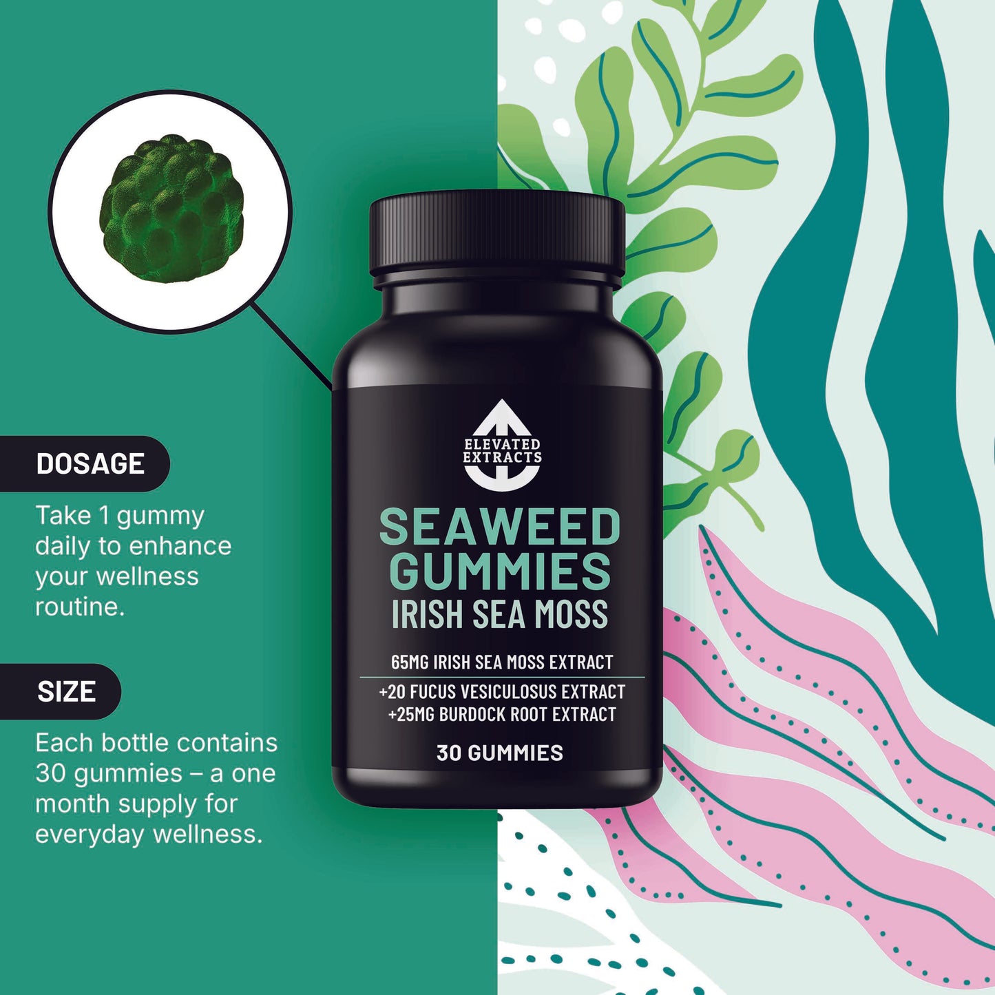 SEA WEED GUMMIES Irish Sea Moss Gummies with Bladderwrack (Fucus Vesiculosus Extract) and Burdock Root | 30 Gummies | Lime Flavour | All Natural, Vegan, Gluten Free, Non GMO – By Elevated Extracts