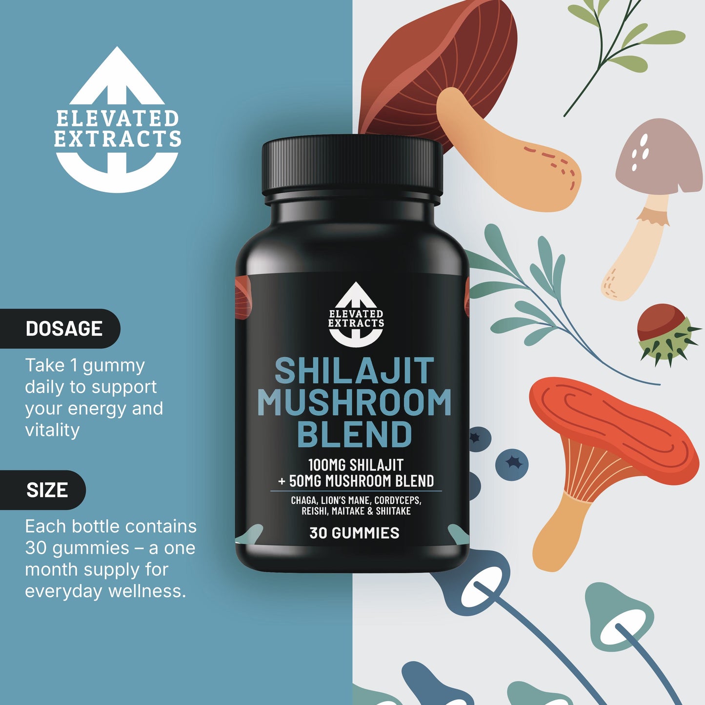 SHILAJIT Mushroom Complex Gummies – 30 Gummies - Lion's Mane, Reishi, Cordyceps, Chaga and Maitake. Mushroom Supplement with Blueberry Extract Flavour. Vegan and Gluten Free. Mushroom Gummies by Elevated Extracts.