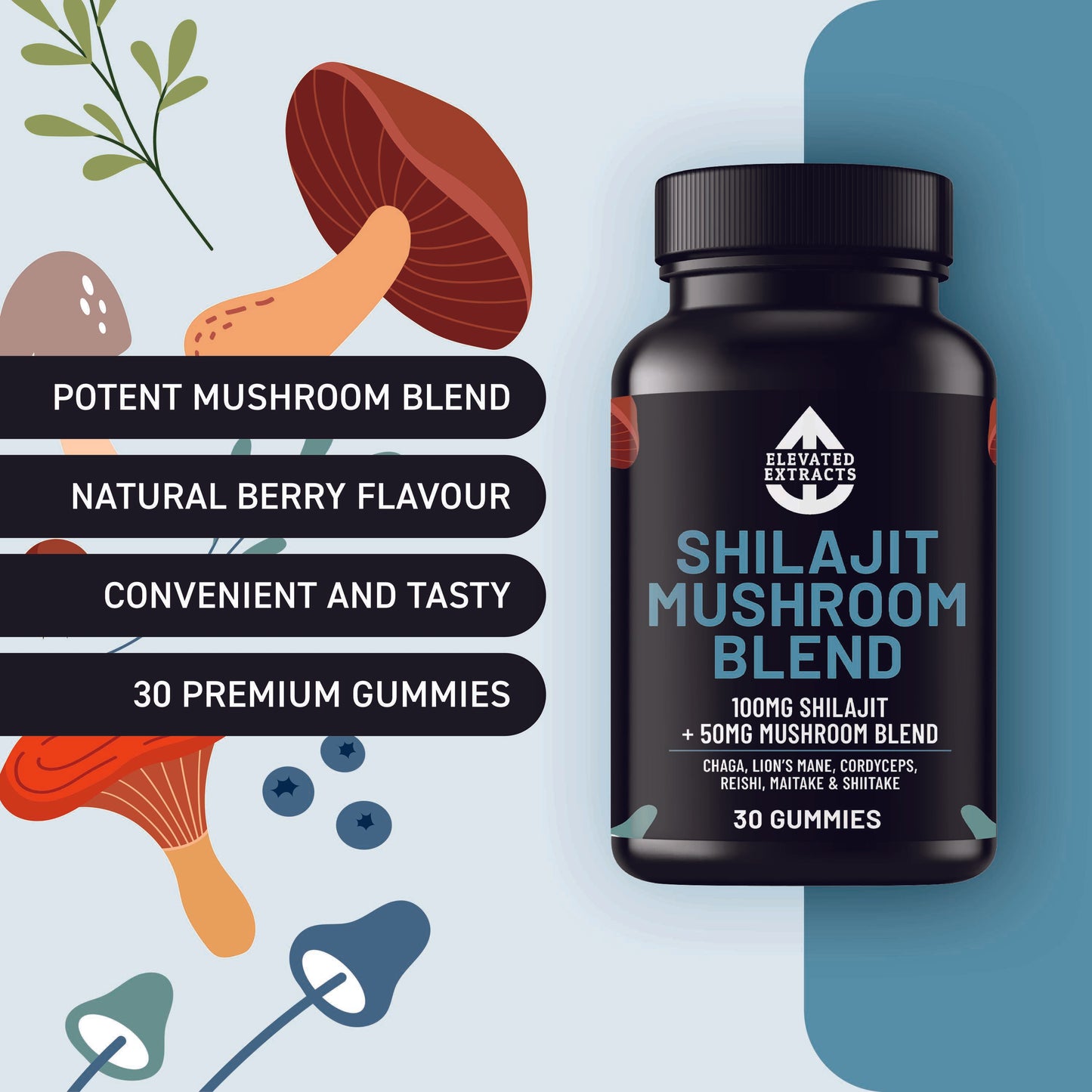 SHILAJIT Mushroom Complex Gummies – 30 Gummies - Lion's Mane, Reishi, Cordyceps, Chaga and Maitake. Mushroom Supplement with Blueberry Extract Flavour. Vegan and Gluten Free. Mushroom Gummies by Elevated Extracts.