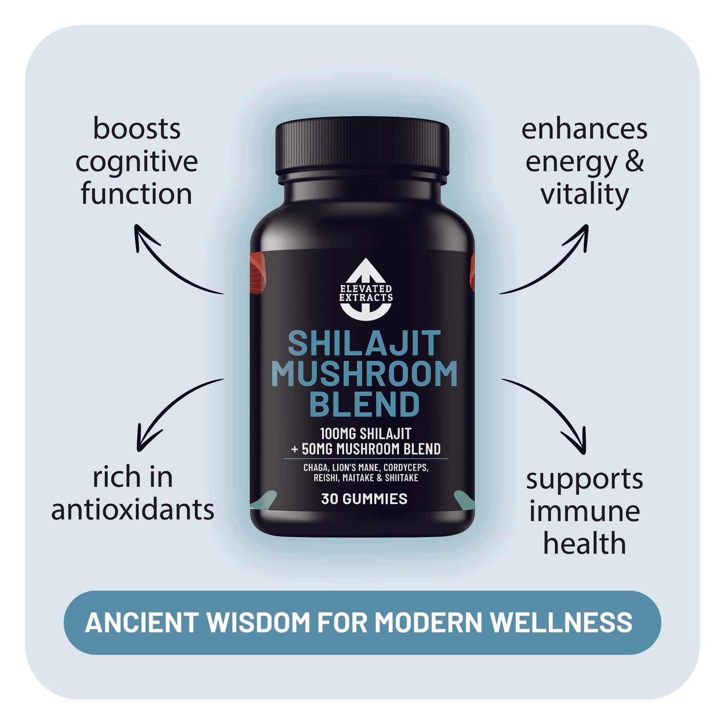SHILAJIT Mushroom Complex Gummies – 30 Gummies - Lion's Mane, Reishi, Cordyceps, Chaga and Maitake. Mushroom Supplement with Blueberry Extract Flavour. Vegan and Gluten Free. Mushroom Gummies by Elevated Extracts.