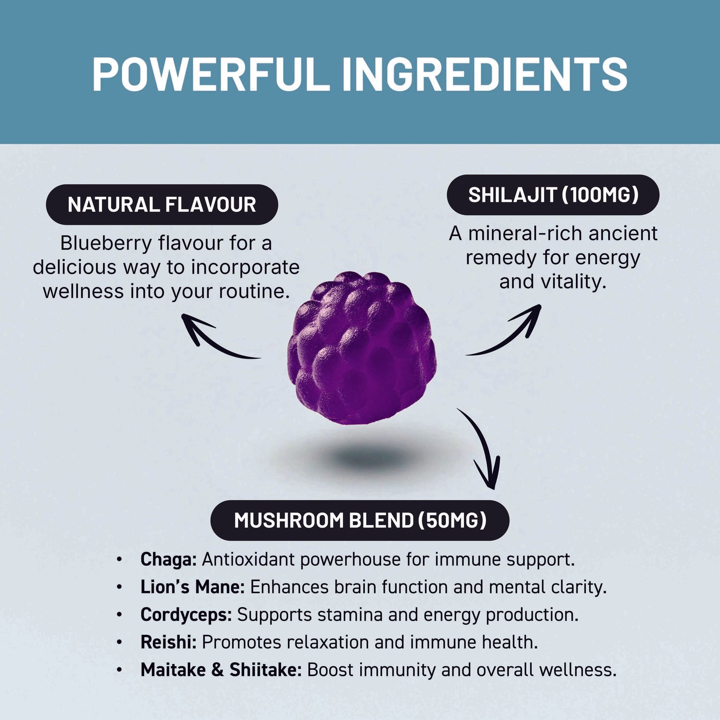 SHILAJIT Mushroom Complex Gummies – 30 Gummies - Lion's Mane, Reishi, Cordyceps, Chaga and Maitake. Mushroom Supplement with Blueberry Extract Flavour. Vegan and Gluten Free. Mushroom Gummies by Elevated Extracts.