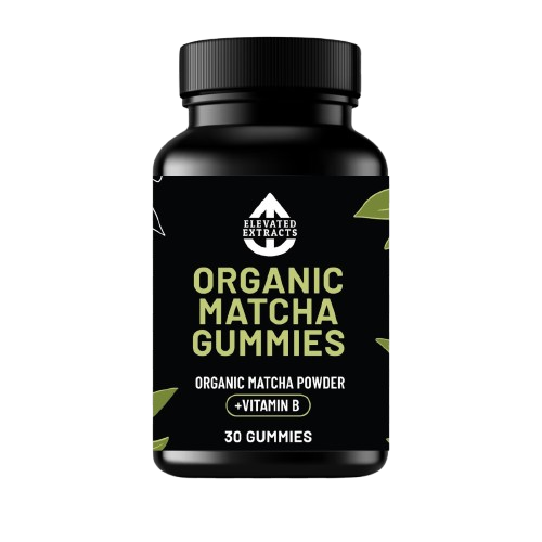 MATCHA GUMMIES AAA Grade Ceremonial Matcha Gummies – 30 Gummies – Vitamin B3 – Apple Flavour – By Elevated Extracts