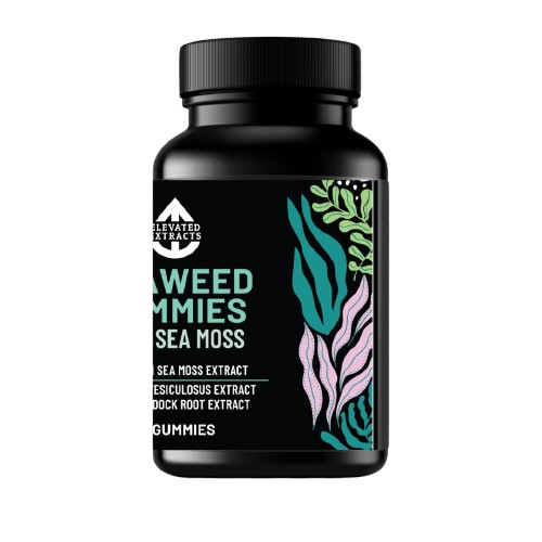 SEA WEED GUMMIES Irish Sea Moss Gummies with Bladderwrack (Fucus Vesiculosus Extract) and Burdock Root | 30 Gummies | Lime Flavour | All Natural, Vegan, Gluten Free, Non GMO – By Elevated Extracts