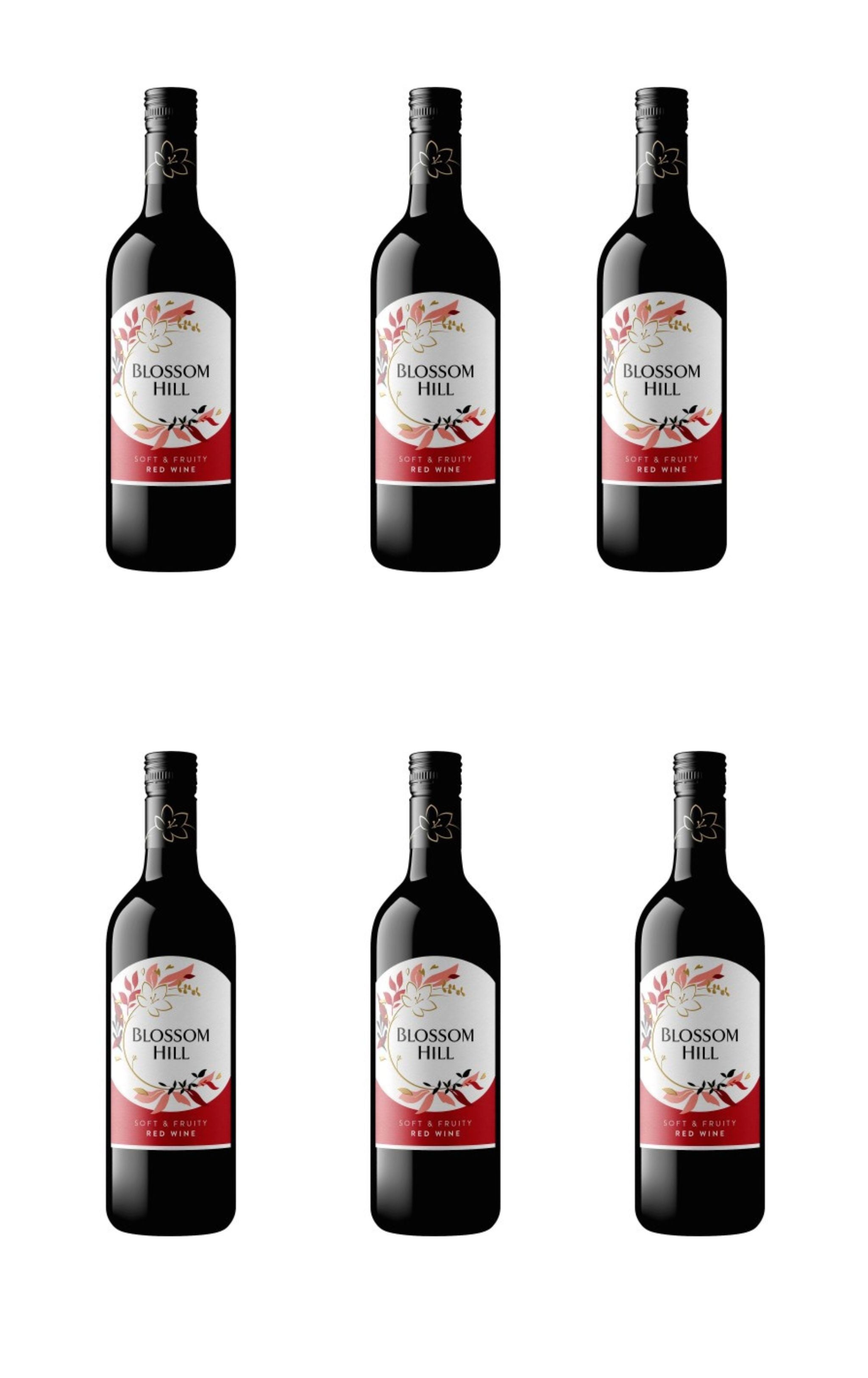 Blossom Hill Soft & Fruity Red Wine 75cl (Case of 6)